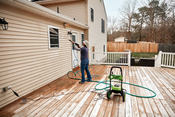 Professional Pressure Washing in Collins, MS