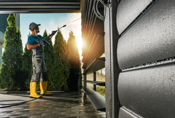 Best Affordable Pressure Washing  in Collins, MS