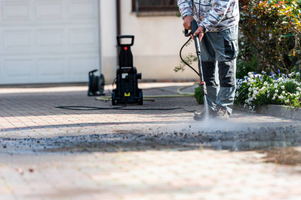 Best Local Pressure Washing Services  in Collins, MS