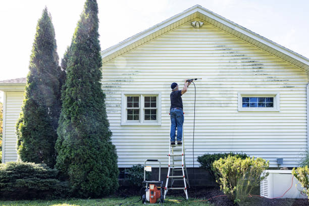 Roof Power Washing Services in Collins, MS