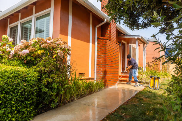 Best Roof Pressure Washing  in Collins, MS