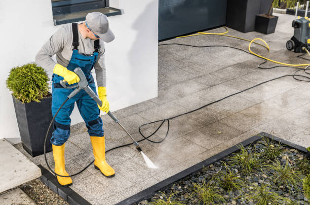 Best Best Pressure Washing Companies  in Collins, MS