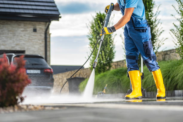 Best Exterior Home Cleaning  in Collins, MS