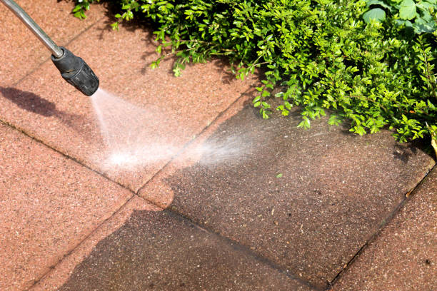 Best Commercial Building Pressure Washing  in Collins, MS